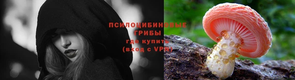 PSILOCYBIN Медвежьегорск