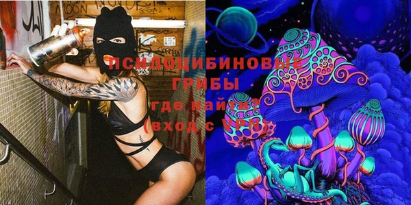 PSILOCYBIN Медвежьегорск