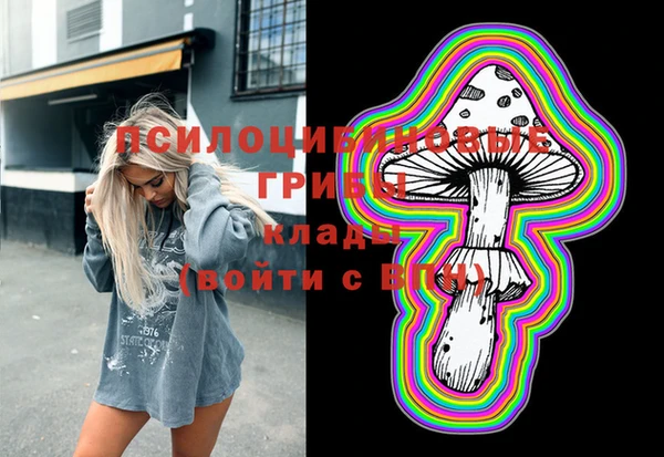 PSILOCYBIN Медвежьегорск