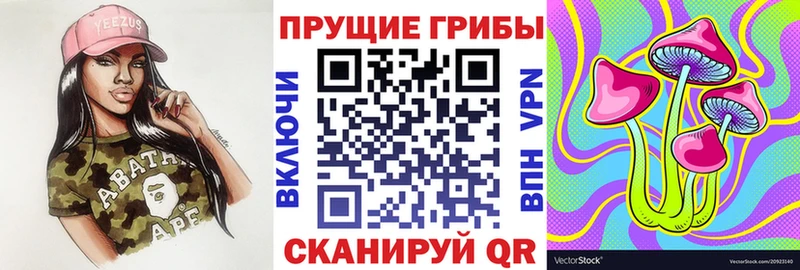 купить  сайты  Безенчук  Галлюциногенные грибы MAGIC MUSHROOMS 